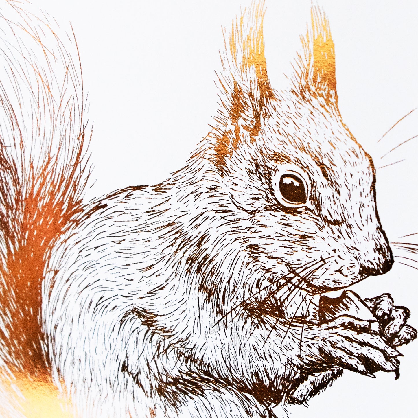 Squirrel - copper foil, detail. Handmade foil print by Stargazer Lily, produced by  Bright Bear Designs